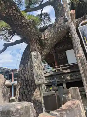 題経寺(柴又帝釈天)(東京都)