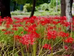 祖光院(千葉県)