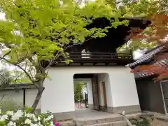 雲心寺の山門