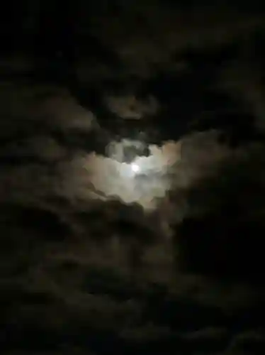 土津神社｜こどもと出世の神さまの自然