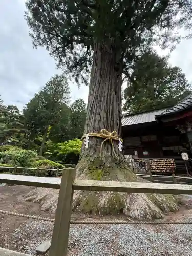 北口本宮冨士浅間神社(山梨県)
