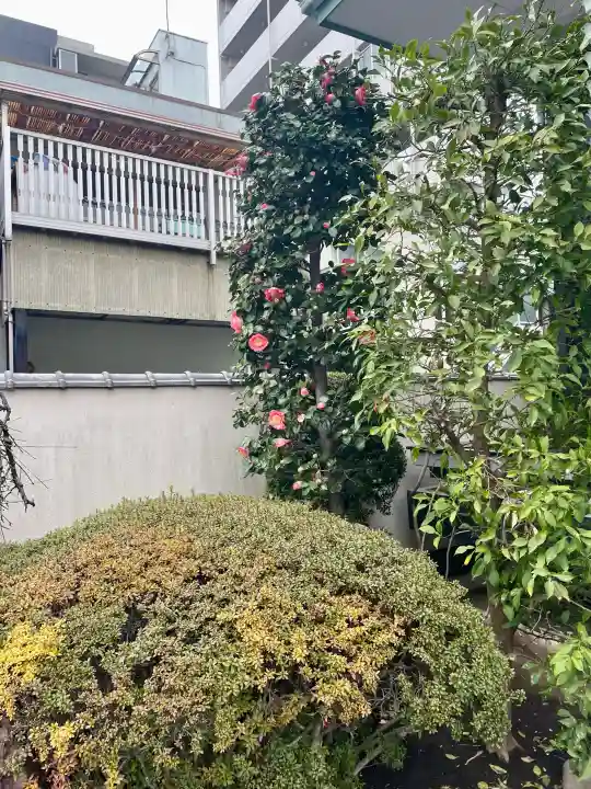 宗源寺の{uncategorized: "未分類", other: "その他", undefined: "問題あり", building: "その他建物", grave: "お墓", sacred_gate: "鳥居", guardian: "狛犬", statue: "像", buddha: "仏像", history: "歴史", nature: "自然", garden: "庭園", animal: "動物", pagoda: "塔", temizu: "手水舎", mountain_gate: "山門・神門", sanctuary: "本殿・本堂", subordinate: "末社・摂社", art: "芸術", scenery: "景色", jizo: "地蔵", ema: "絵馬", goshuin: "御朱印", omikuji: "おみくじ", items: "授与品その他", amulet: "お守り", goshuincho: "御朱印帳", eats: "食事", festival: "お祭り", votive_dance: "神楽", shichigosan: "七五三参", wedding: "結婚式", experience: "体験その他", initially: "初詣", around: "周辺", anti_infection: "感染症対策"}