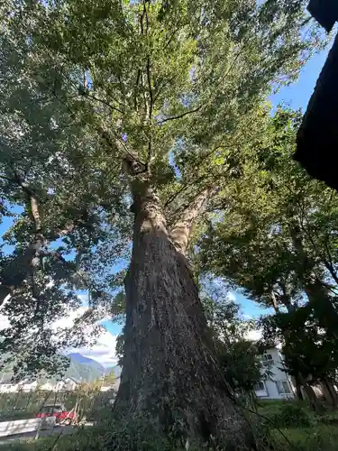 八坂神社(長野県)