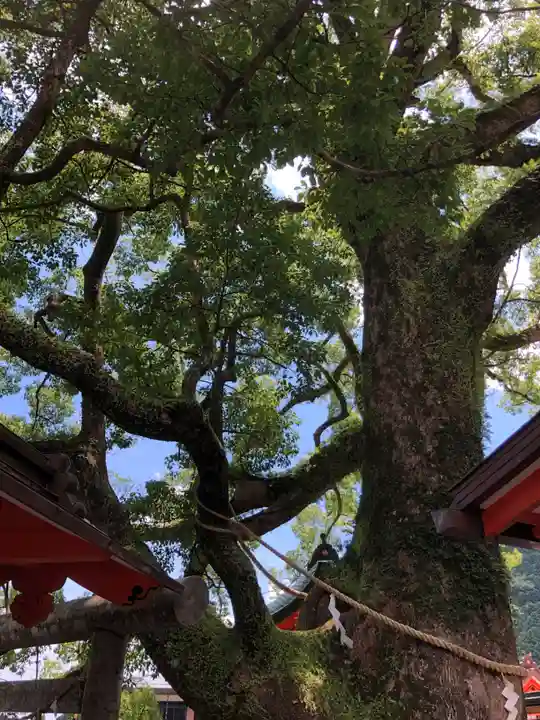 熊野那智大社(和歌山県)