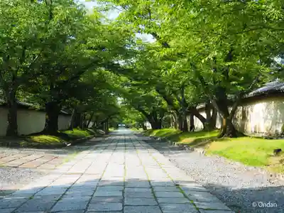 醍醐寺(京都府)