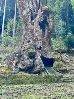 武雄神社の{uncategorized: "未分類", other: "その他", undefined: "問題あり", building: "その他建物", grave: "お墓", sacred_gate: "鳥居", guardian: "狛犬", statue: "像", buddha: "仏像", history: "歴史", nature: "自然", garden: "庭園", animal: "動物", pagoda: "塔", temizu: "手水舎", mountain_gate: "山門・神門", sanctuary: "本殿・本堂", subordinate: "末社・摂社", art: "芸術", scenery: "景色", jizo: "地蔵", ema: "絵馬", goshuin: "御朱印", omikuji: "おみくじ", items: "授与品その他", amulet: "お守り", goshuincho: "御朱印帳", eats: "食事", festival: "お祭り", votive_dance: "神楽", shichigosan: "七五三参", wedding: "結婚式", experience: "体験その他", initially: "初詣", around: "周辺", anti_infection: "感染症対策"}