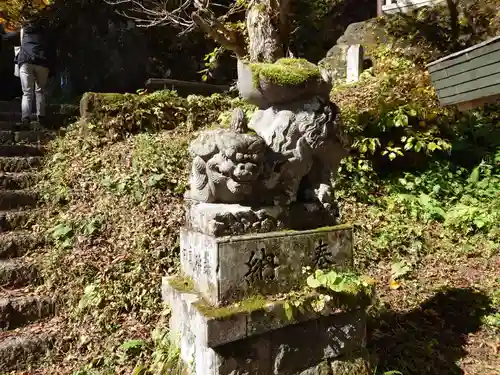 戸隠神社奥社の狛犬