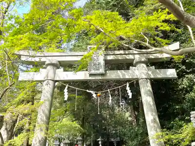 杉之木神社(滋賀県)