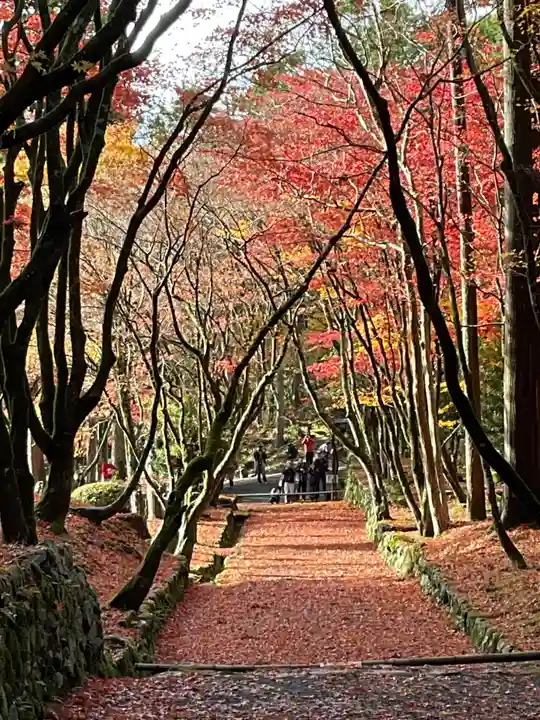 鶏足寺(滋賀県)