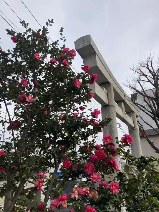 日野八坂神社(東京都)
