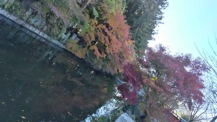 稗田野神社(薭田野神社)(京都府)