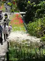 横浜 西方寺の自然