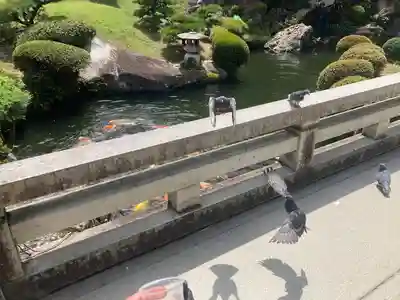 豊川閣　妙厳寺(愛知県)