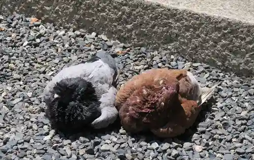 頂法寺（六角堂）(京都府)