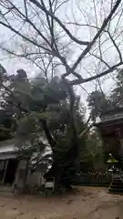 八幡神社(兵庫県)