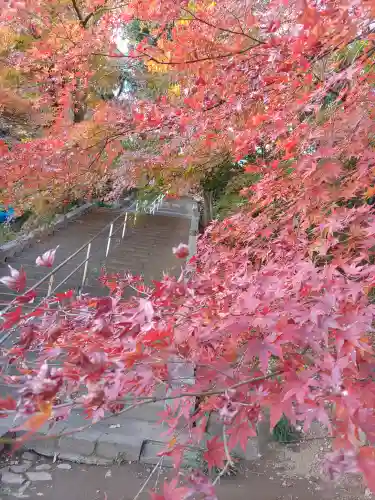金龍寺(群馬県)