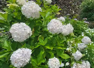 惣河内神社(愛媛県)