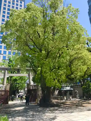 難波神社の自然