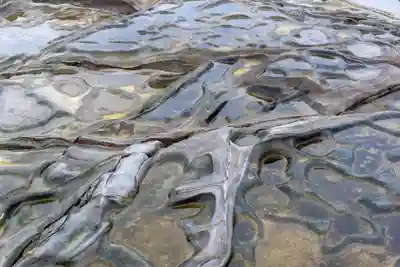 青島神社（青島神宮）(宮崎県)