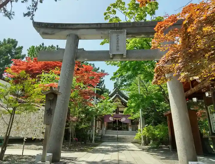 彌彦神社 (伊夜日子神社)の鳥居