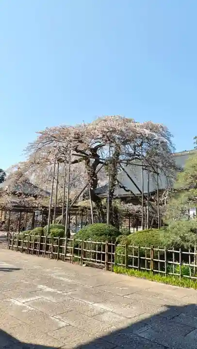 無量壽院(千葉県)