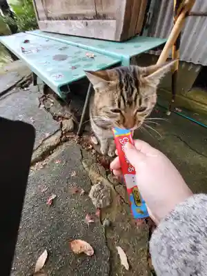 玉野御嶽神社(愛知県)