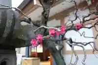 穏田神社(東京都)