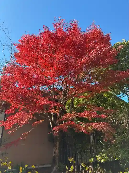 箱根神社(神奈川県)
