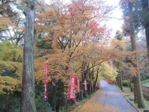 今熊野観音寺(京都府)