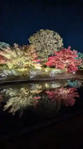 東寺（教王護国寺）(京都府)