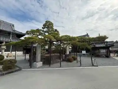 花岳寺(兵庫県)