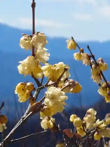 宝登山神社奥宮(埼玉県)