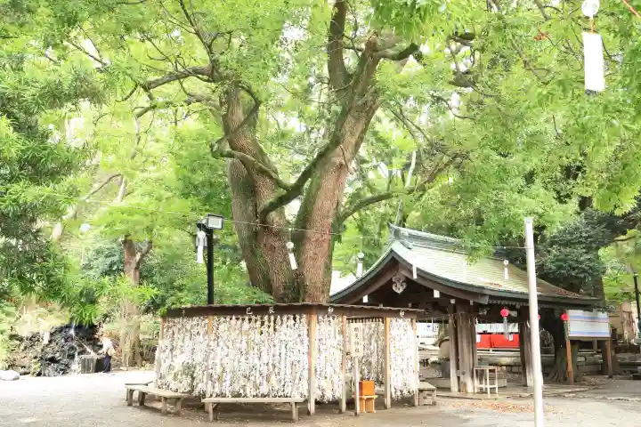 平塚八幡宮(神奈川県)