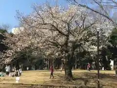 天祖神社の自然