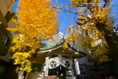 銀杏岡八幡神社(東京都)