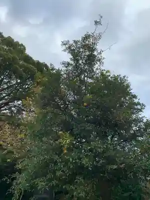 能仁寺(茨城県)