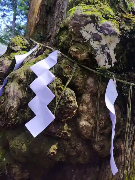 本宮神社(日光二荒山神社別宮)(栃木県)