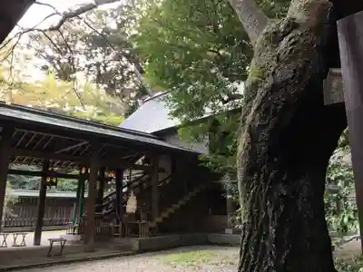 金崎宮の本殿・本堂