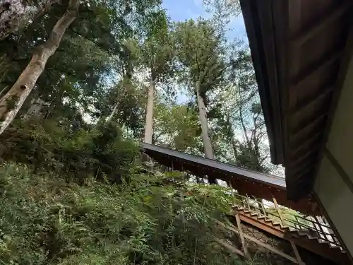丹生川上神社（下社）(奈良県)