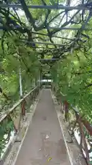 西寒多神社(大分県)