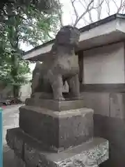 戸越八幡神社の狛犬