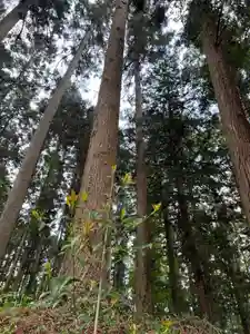大宮温泉神社(栃木県)(2023年05月13日(土) 07時31分59秒投稿)