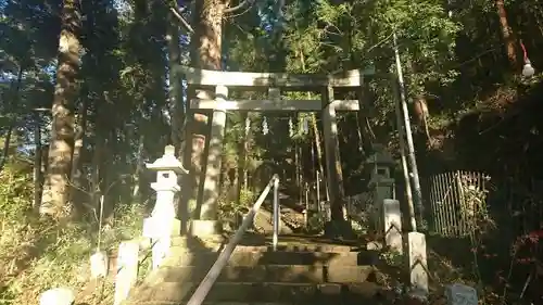 菅東山出世稲荷神社の鳥居