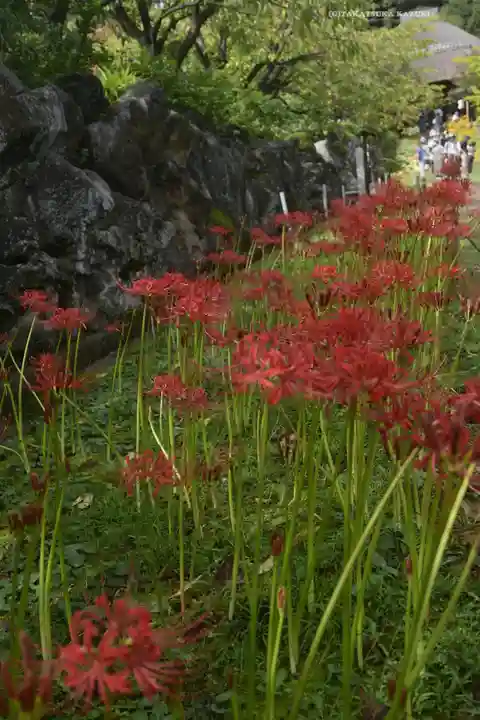 横浜 西方寺(神奈川県)