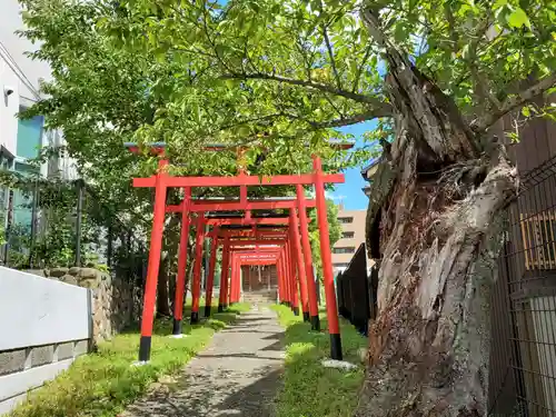 八ツ橋稲荷神社の鳥居