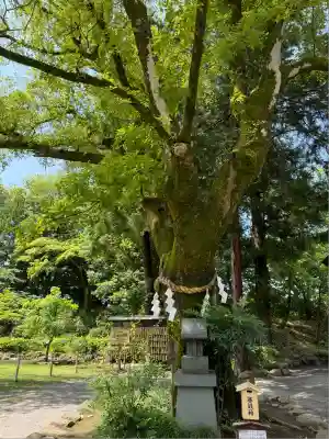 武田神社(山梨県)