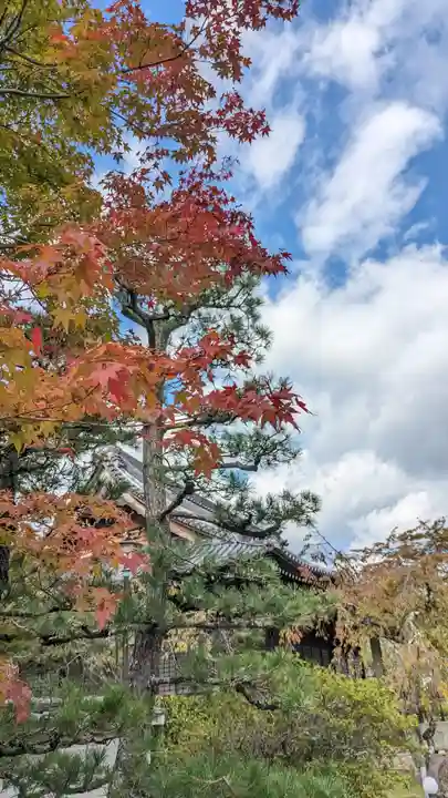 妙満寺(京都府)
