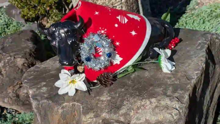 大松禅寺(京都府)