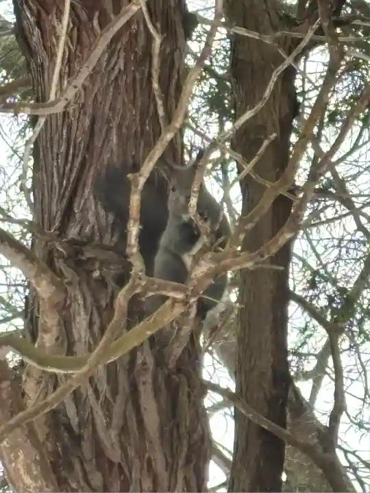 由仁神社(北海道)