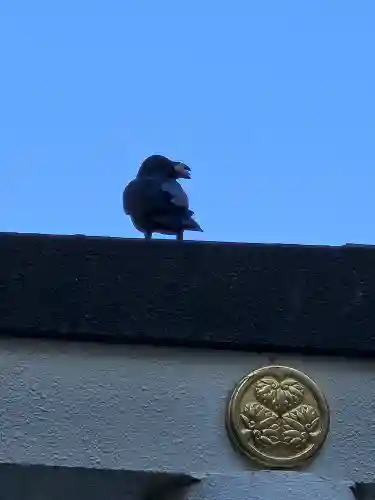 子安神社(東京都)